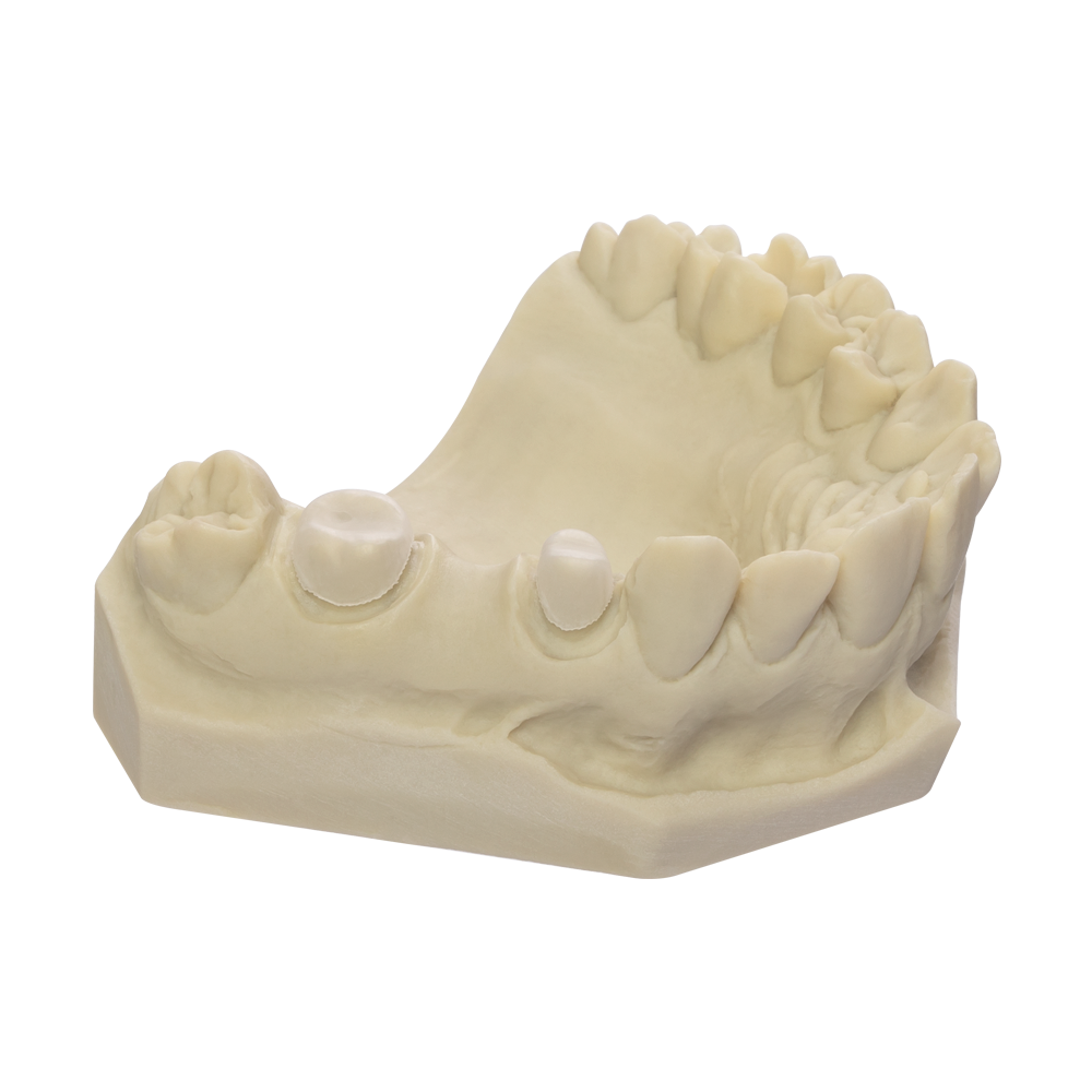 DRUFOLEN W DISCHI PER TERMOSTAMPAGGIO