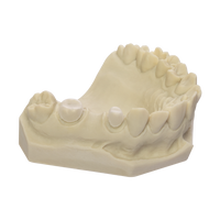 DRUFOLEN W DISCHI PER TERMOSTAMPAGGIO